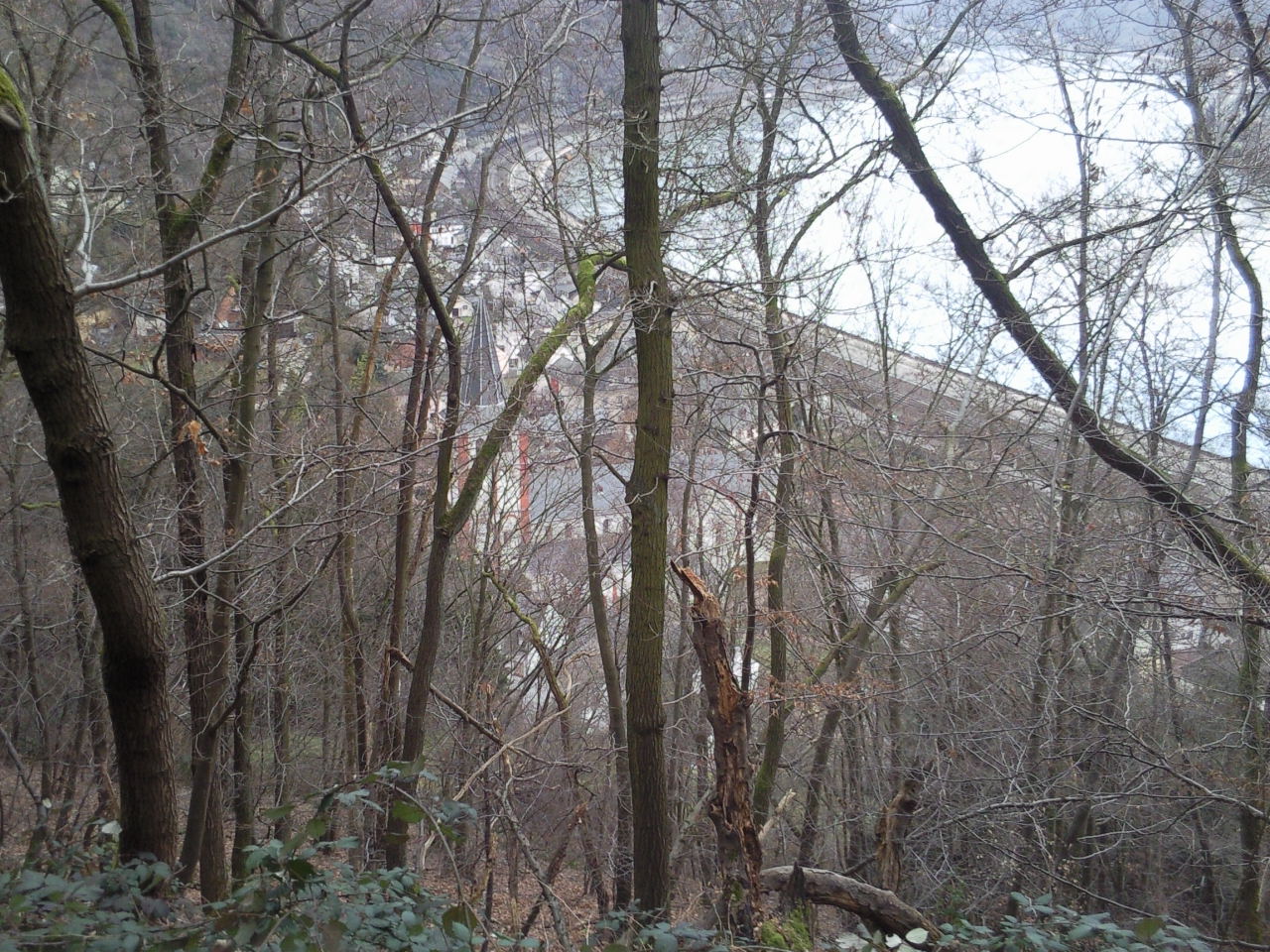 Foto0378.jpg