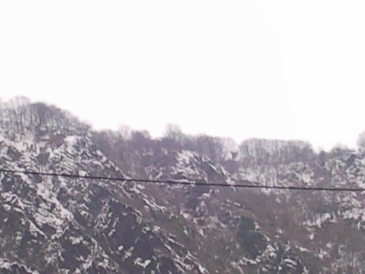 Foto0503.jpg