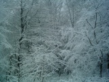 Foto0500.JPG